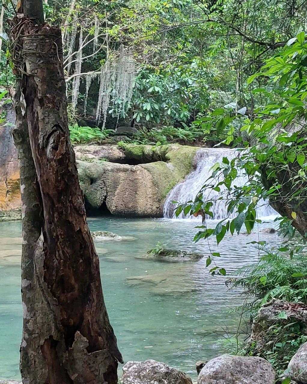 A serene waterfall cascading into a clear turquoise pool, surrounded by lush greenery.