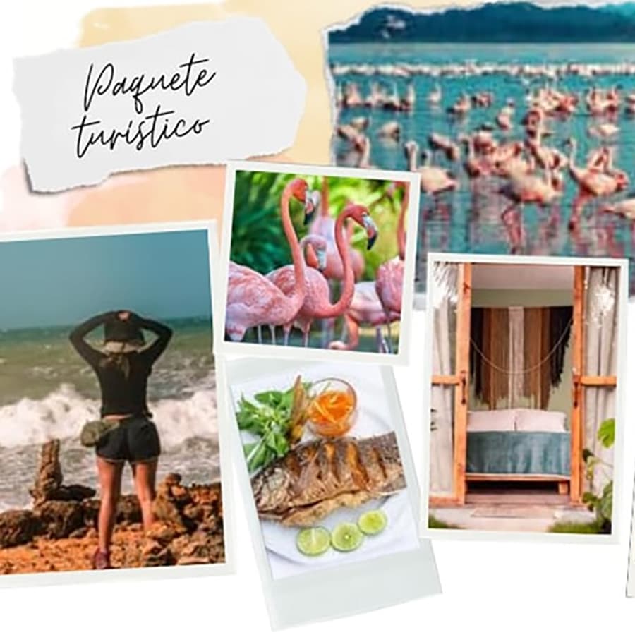 A collage featuring a scenic beach, flamingos, a dish of grilled fish, and a cozy accommodation setup, with text that reads "Paquete turístico."