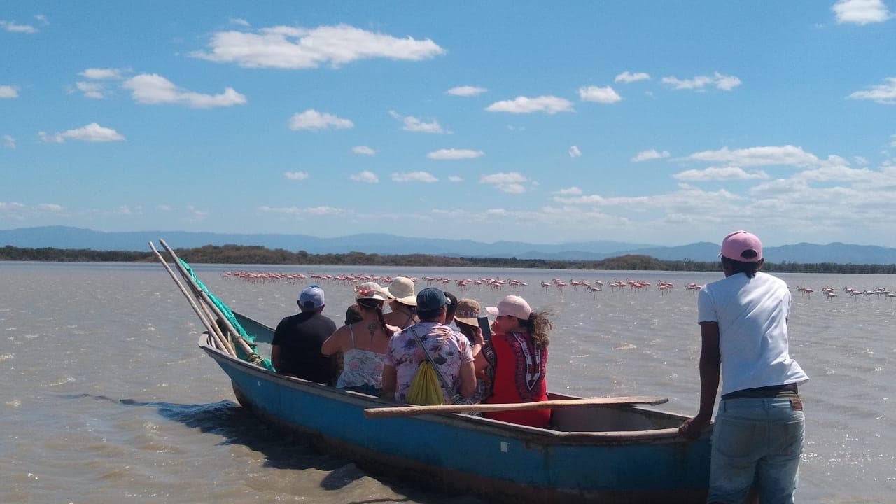 A group of people in a small boat observes flamingos in a scenic body of water under a blue sky.
