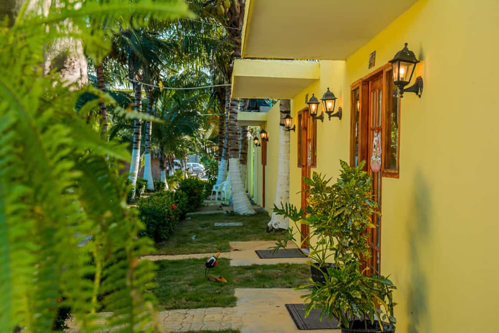 Cozy yellow cabins lined along a pathway with greenery and lanterns.