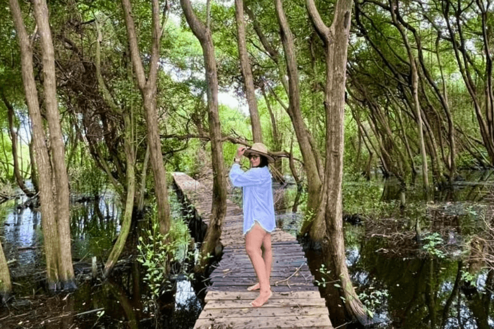 A person in a wide-brimmed hat walks along a wooden pathway through a lush, green forest.