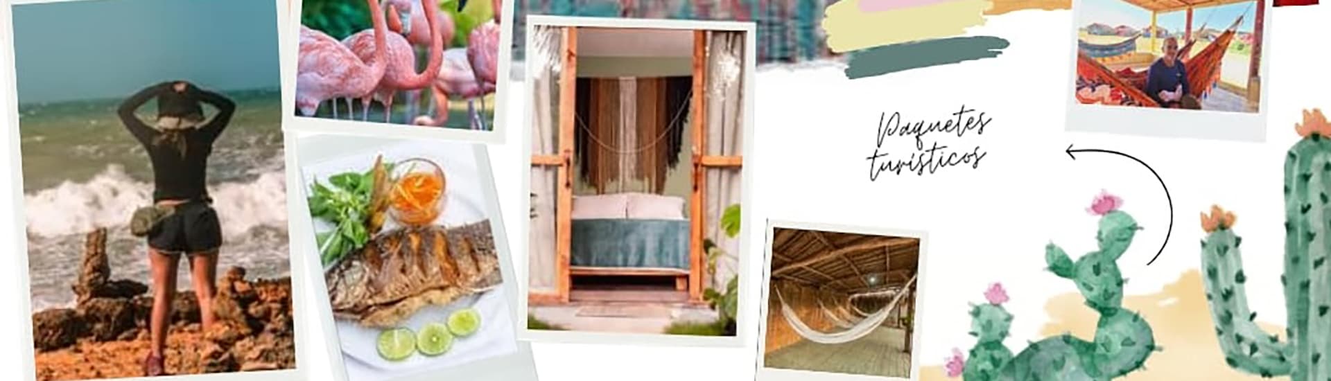 Collage showcasing a beach scene, flamingos, a meal, a cozy room, and cacti.